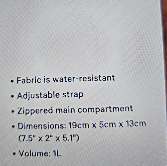 Lululemon Rare Clear Everywhere Belt Bag NWT logo stadium - Picture 5 of 7